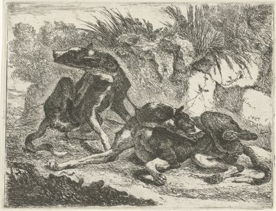 Two Dogs by Jan Fyt